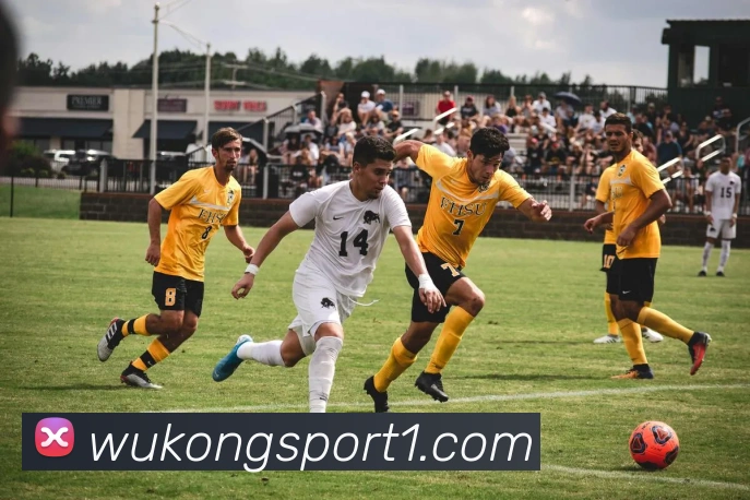 悟空体育平台生态图